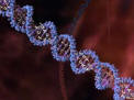 DNA Double-Helix
